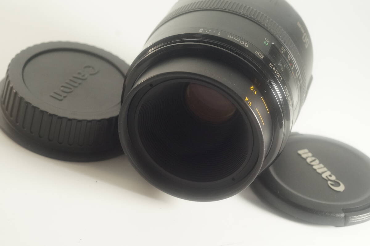 PH066『とてもキレイ』近接撮影 Canon COMPACT-MACRO EF 50mm F2.5 コンパクトマクロレンズ キャノン クローズアップ撮影 料理 草花昆虫