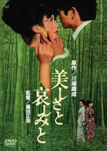再生確認済レンタル落ち DVD「美しさと哀しみと」送料 140/185/190/210/230 円