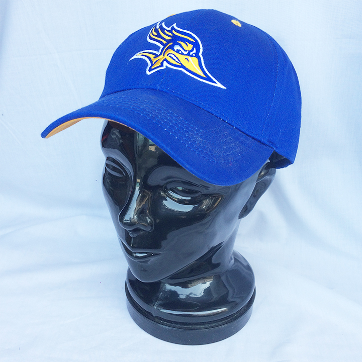 NCAA USA アメリカ大学 Cal State Bakersfield Roadrunners basketball キャップ CAP 2376