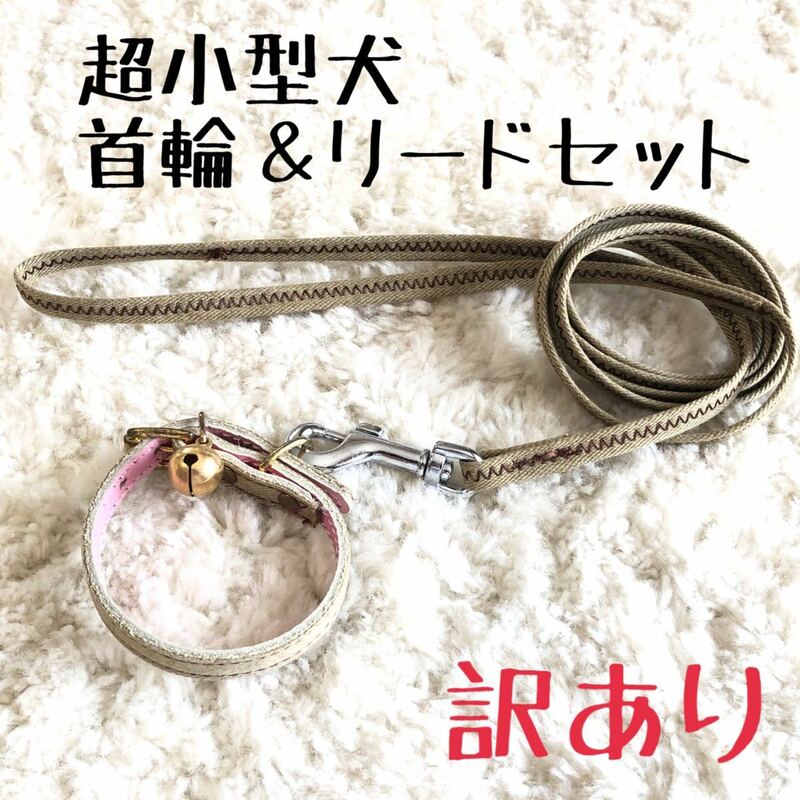 ★送料無料★訳あり首輪＆リードセット★超小型犬#12S★現品14