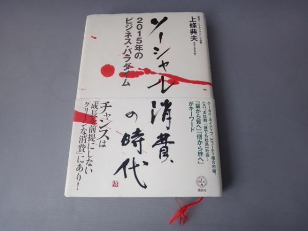 本　ソーシャル消費の時代 2015年のビジネス・パラダイム (講談社BIZ) 中古品