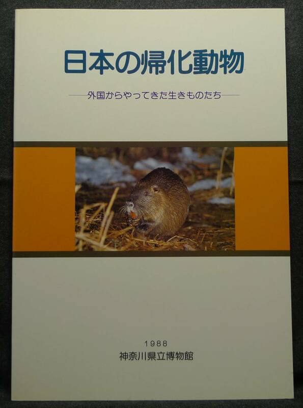 【超希少】【美品】古本　特別展　日本の帰化動物　外国からやってきた生きものたち　１９８８　神奈川県立博物館