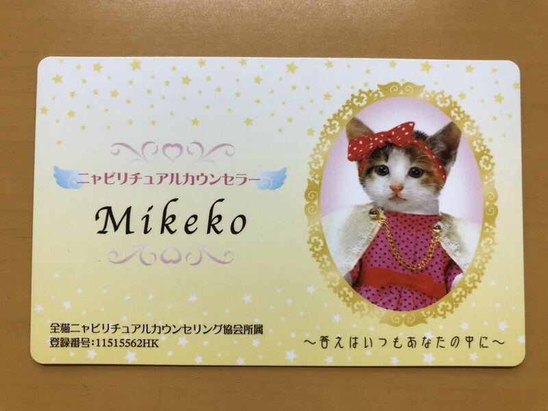 なめんなよ系の名刺 Mikeko