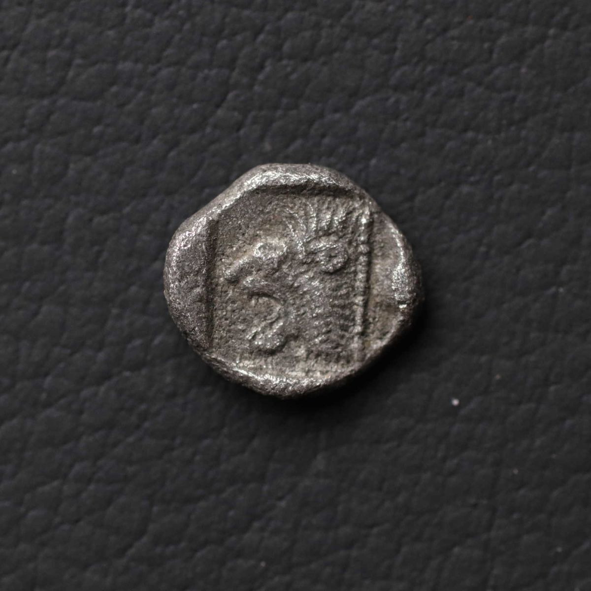 *[令]古代ギリシャ「ライオン・猪・マグロ」小型Hemiobol銀貨（510-475 BC）小アジア ミュシア・キュジコス発行コイン[E6896]7e0