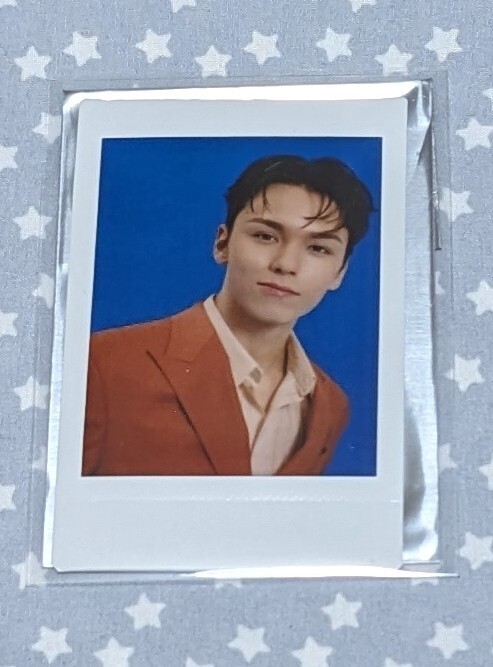 SEVENTEEN BE THE SUN INSTANT PHOTO CARD インスタントフォトカード フォト トレカ バーノン