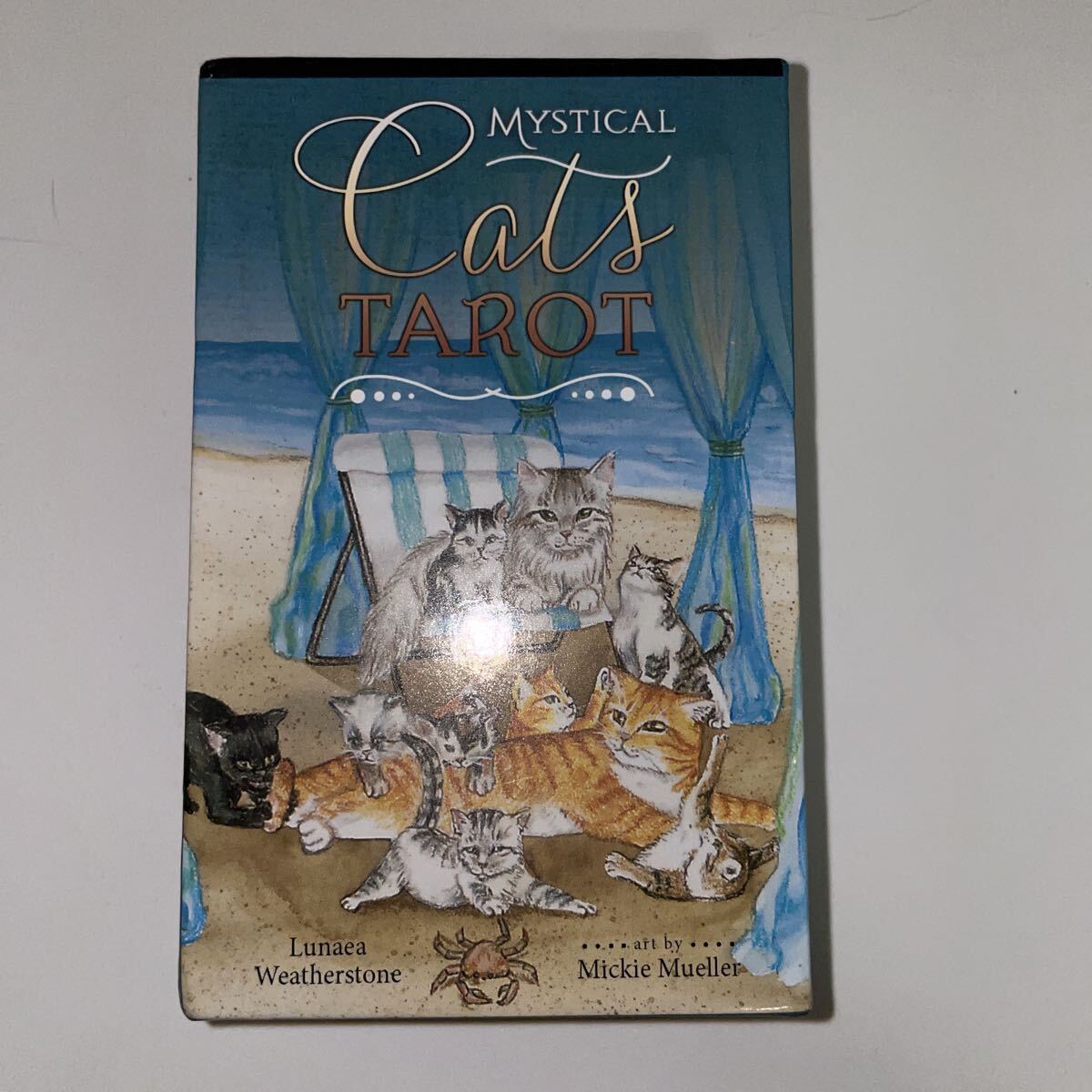 101★猫タロットカード