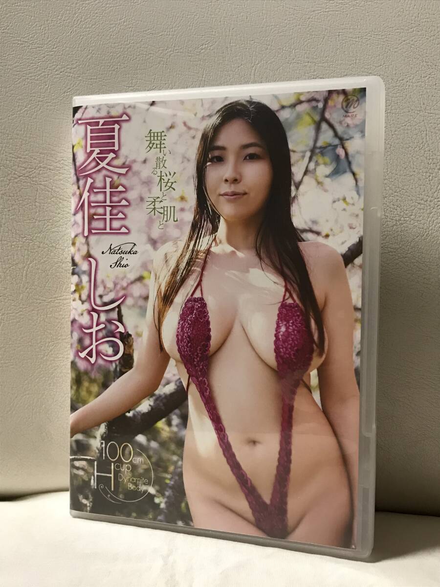 夏佳しお 　舞い散る桜と柔肌と　DVD　セル品/正規品　グラビア/イメージ　スパイスビジュアル　状態良好