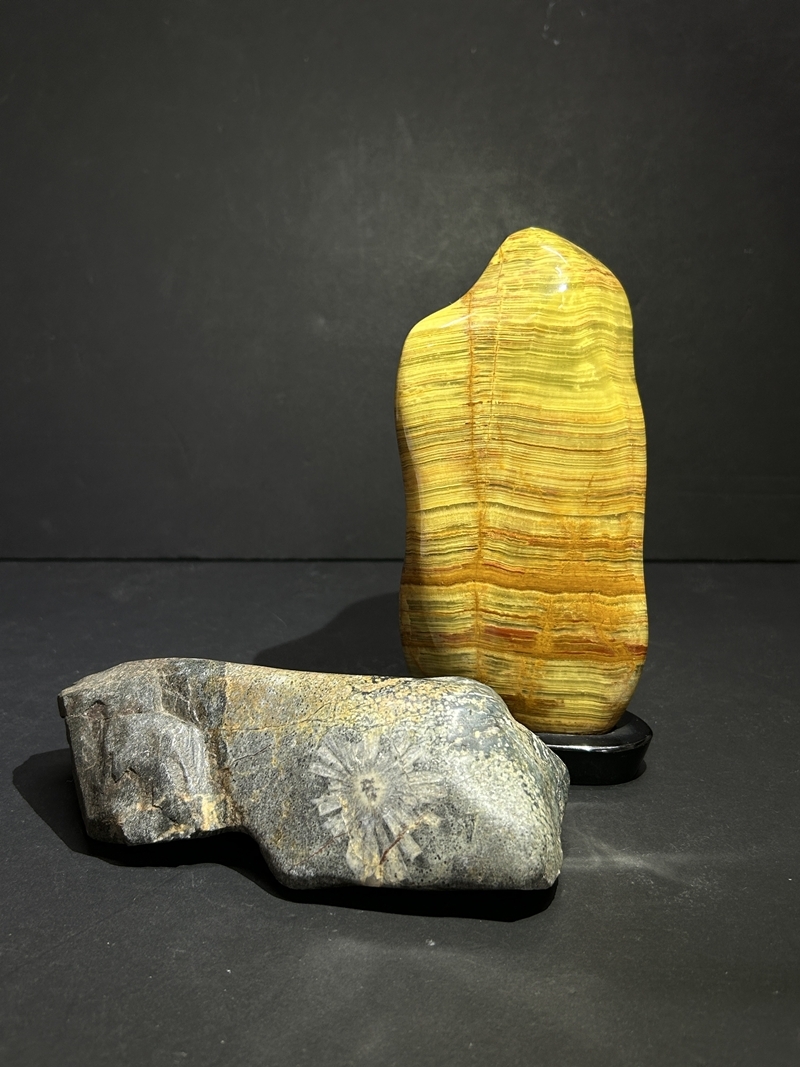 ● コレクター必見 天然石 2点 鑑賞石 観賞石 総重量約2.2kg 置物 石細工 オブジェ インテリア 飾り コレクション Nr903