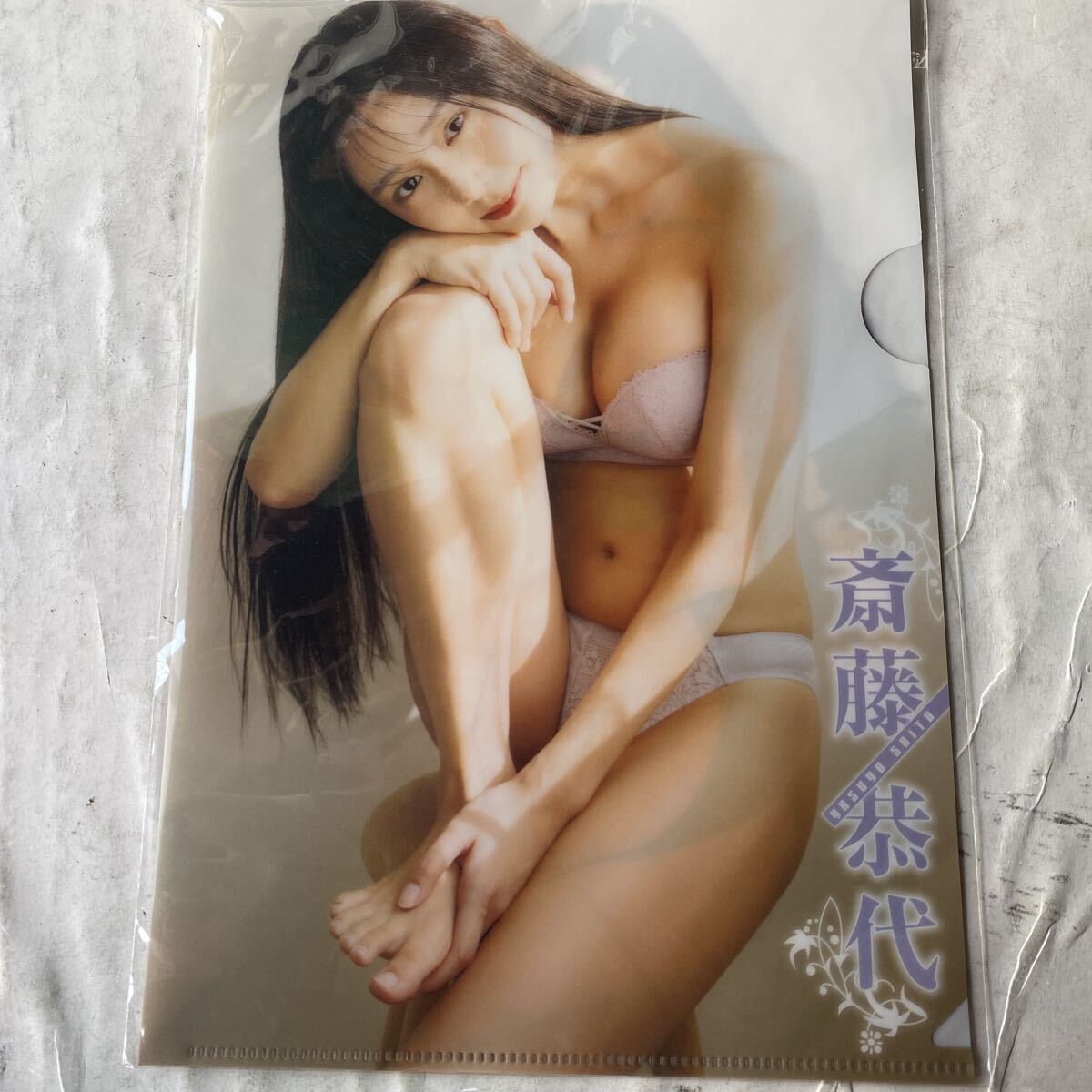 斎藤恭代　クリアファイルになります　B5サイズです