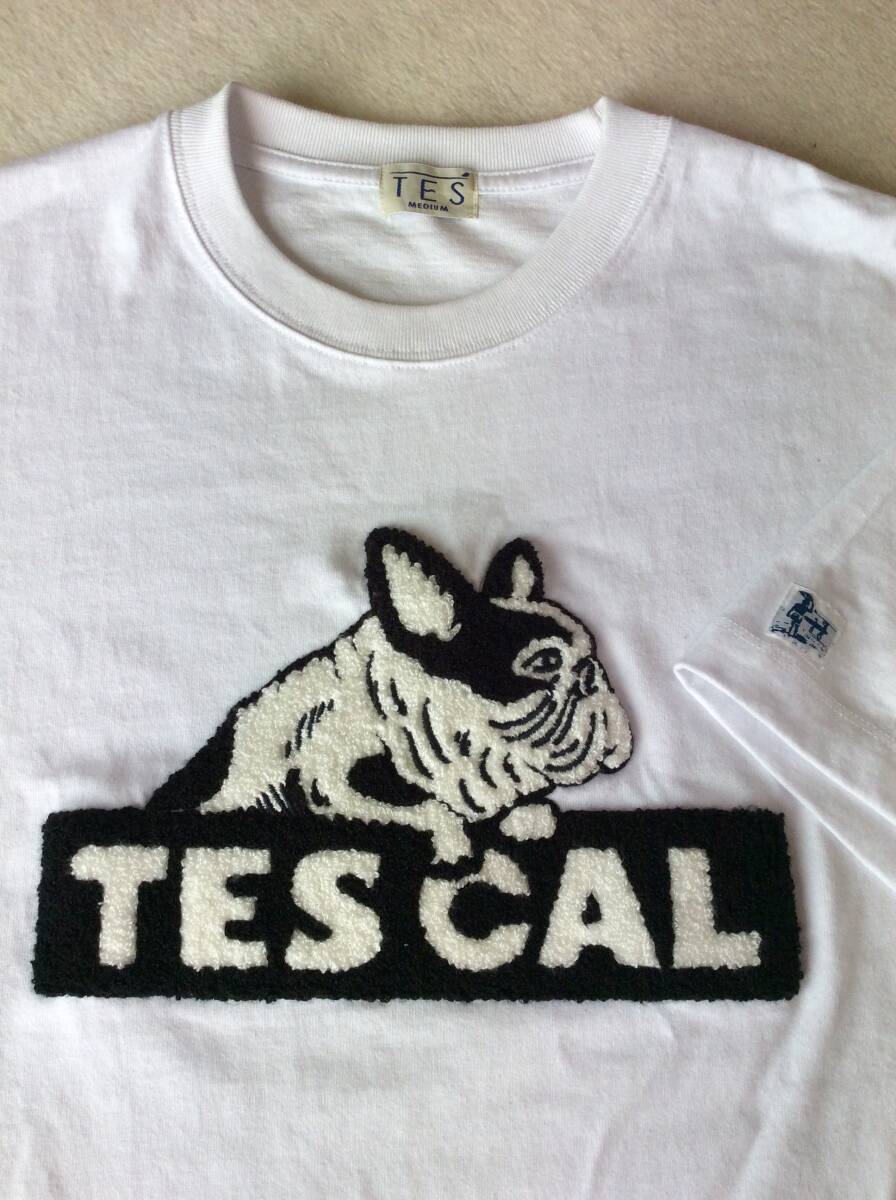 ◎　TES　ザ-エンドレスサマー　TES　CAL　レタードワッペン　ブルドック　Tシャツ　サイズM　美中古　　　　送料430～レターパックライト