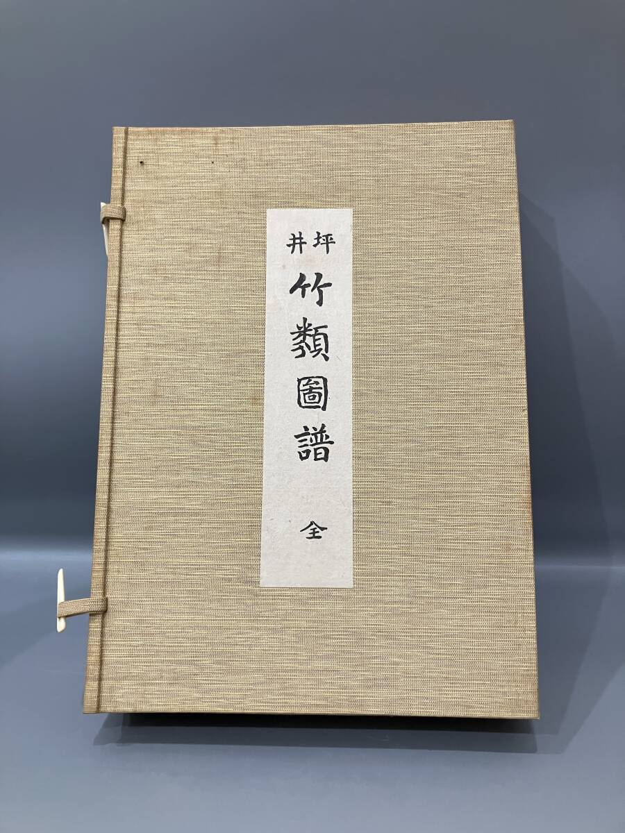 ◆送料無料◆『坪井竹類図譜』復刻版　坪井伊助　図版全109枚　有明書房刊 植物画譜 植物図譜 植物学 A202-4