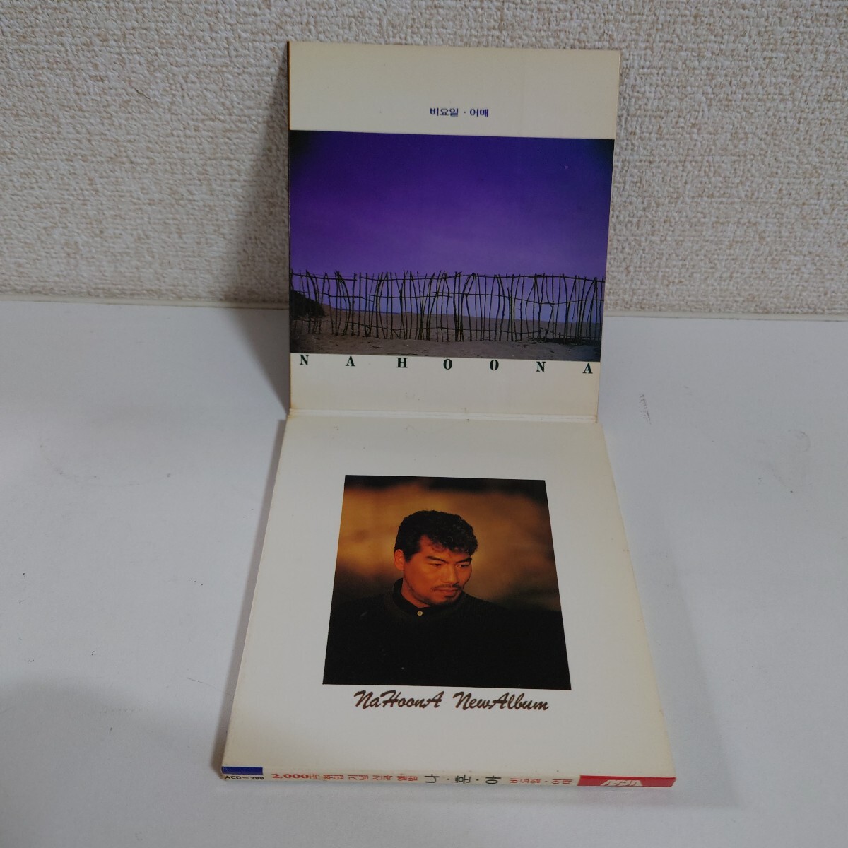 ナ・フナ 2000 ACD-299