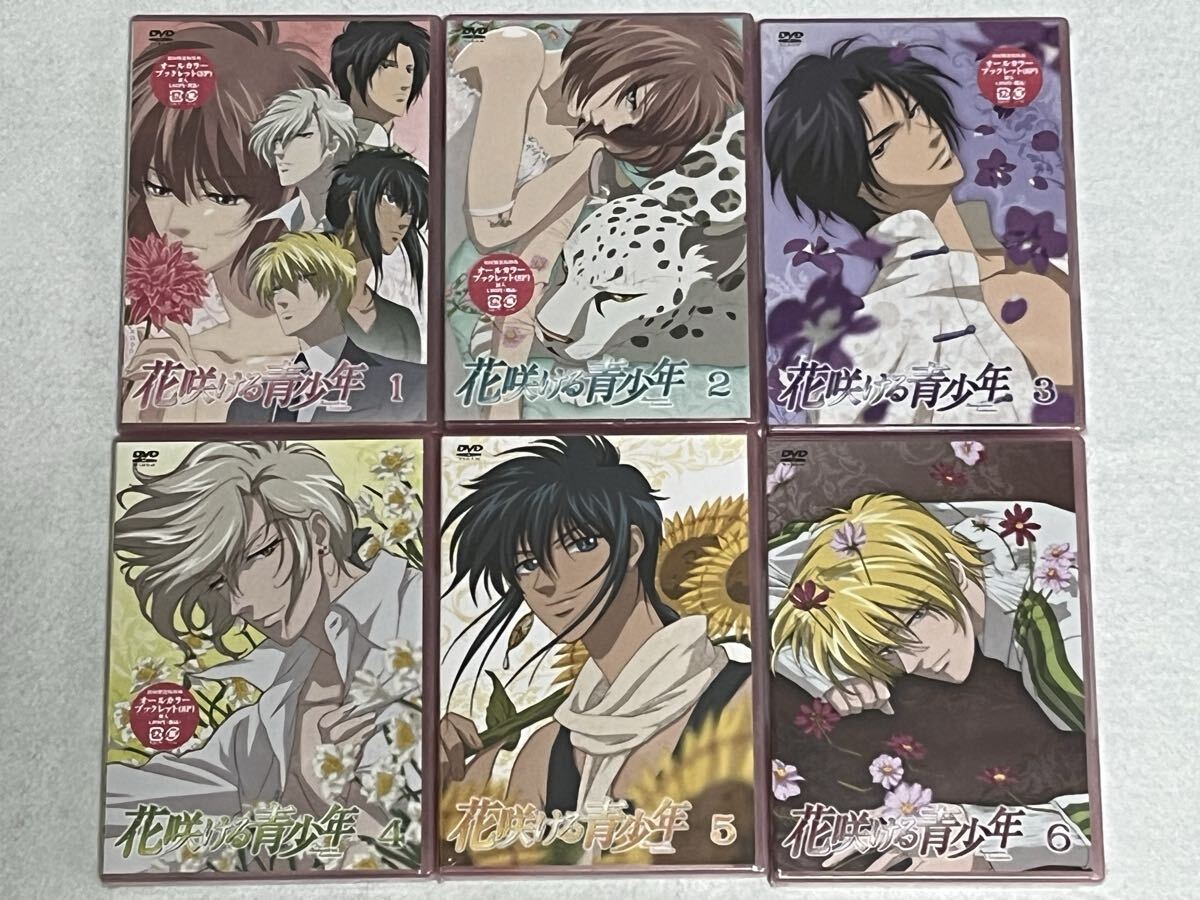 花咲ける青少年 DVD 1〜6巻セット 新品未開封