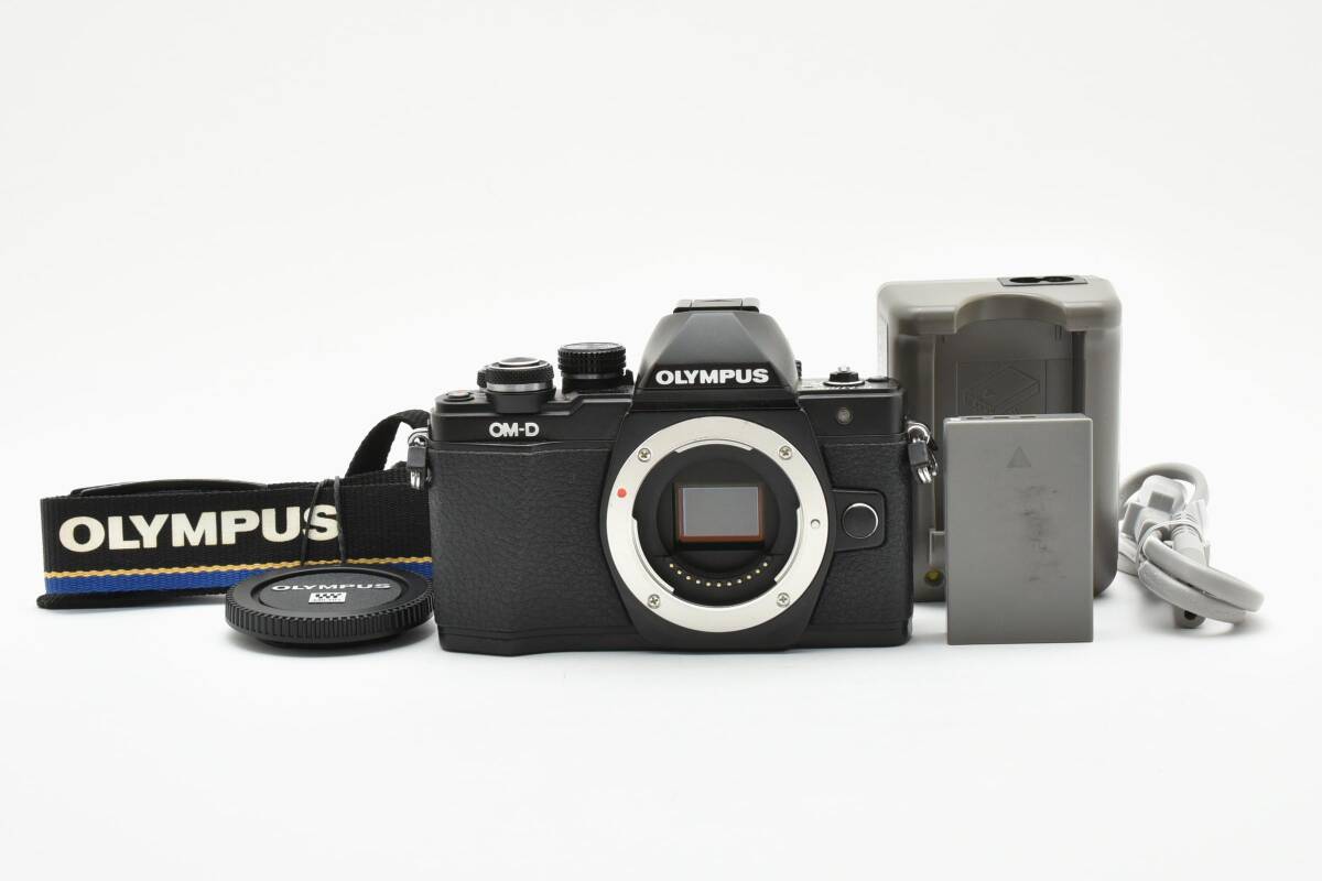 【美品・動作品】OLYMPUS E-M10ll　バッテリー・充電器付き