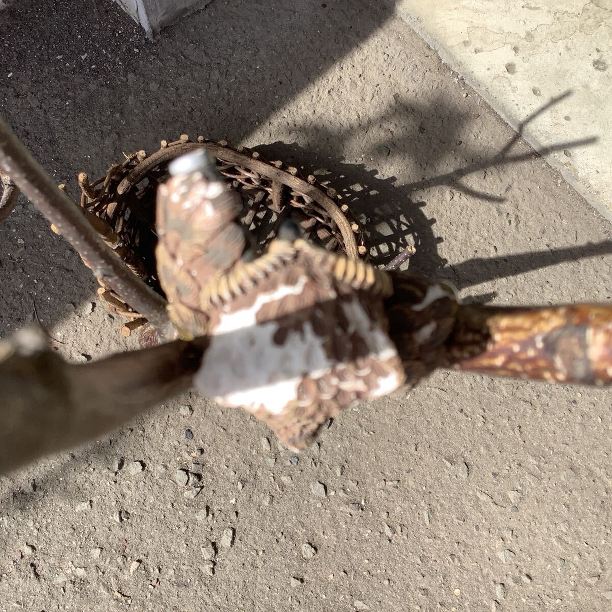 {$data['title']拍卖