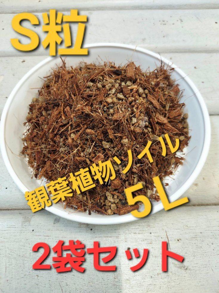 【送料無料】用土メーカー製造！　観葉植物ソイル　約５リットル　S粒　２袋セット◇アロイド系におすすめ■ねこチップ　花森家　nekoteito