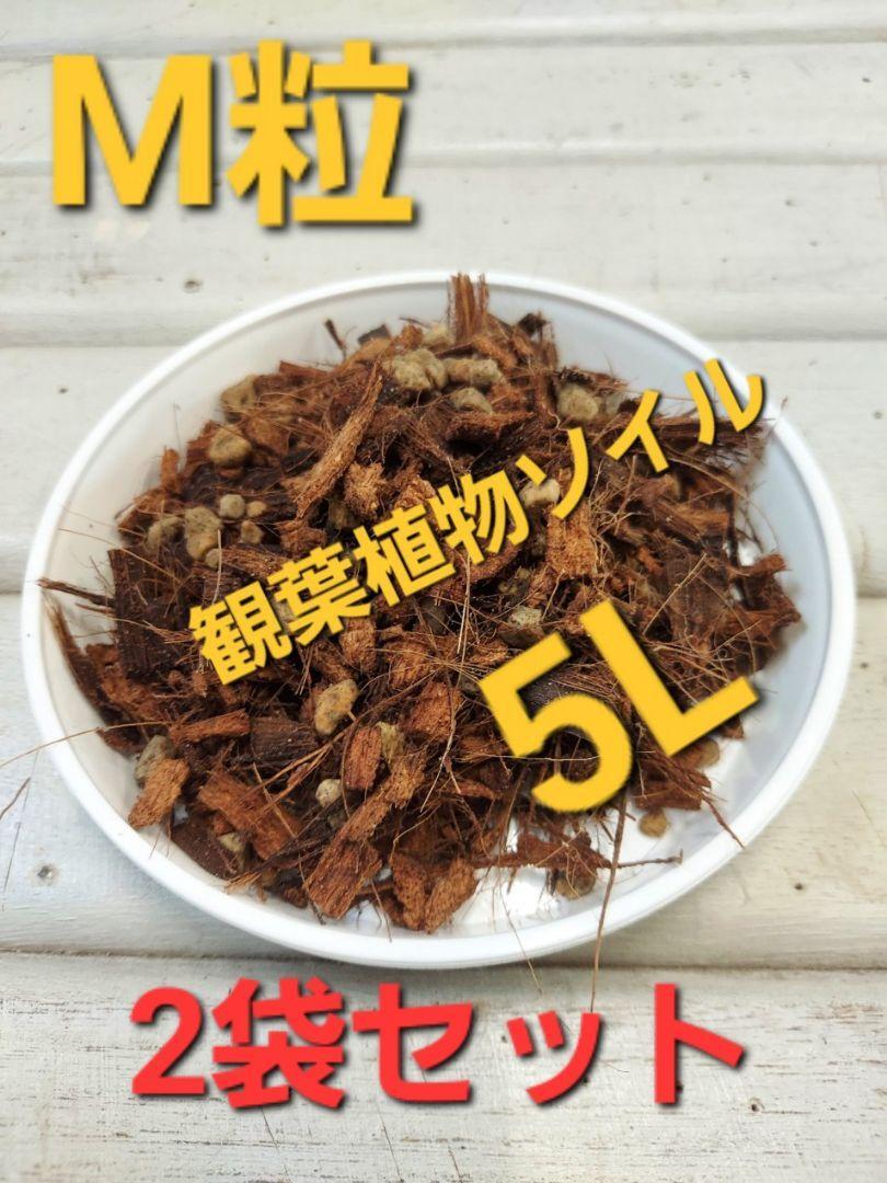 【送料無料】用土メーカー製造！　観葉植物ソイル　約５リットル　M粒　２袋セット◇アロイド系におすすめ■ねこチップ　花森家　nekoteito