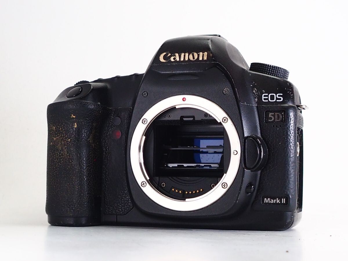 ★訳あり実用品★ キヤノン CANON EOS 5D MARK II ★シャッターOK! #N0760