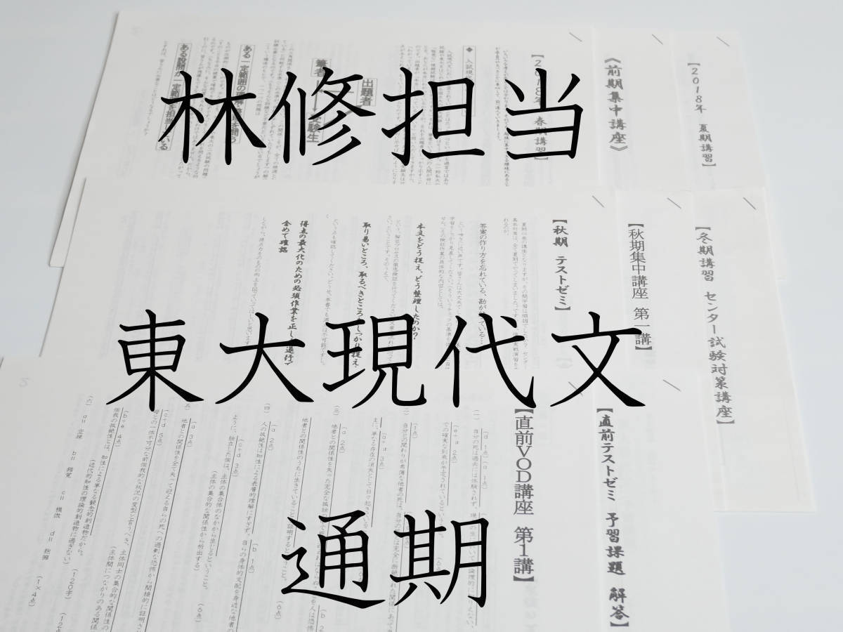 東進　林修先生　通期　東大特進・東大現代文　講義・解説プリント全セット　駿台　鉄緑会　河合塾 Z会 京大　共通テスト　医学部　SEG