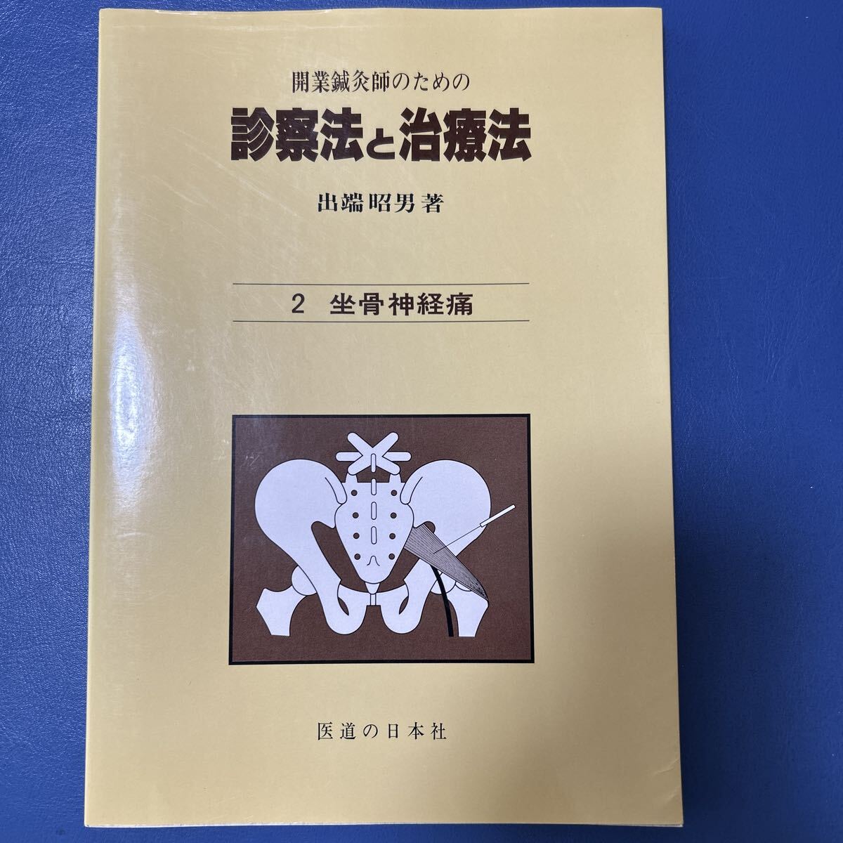 開業鍼灸師のための診察法と治療法　２ （開業鍼灸師のための診察法と治療法　　　２） 出端昭男／著