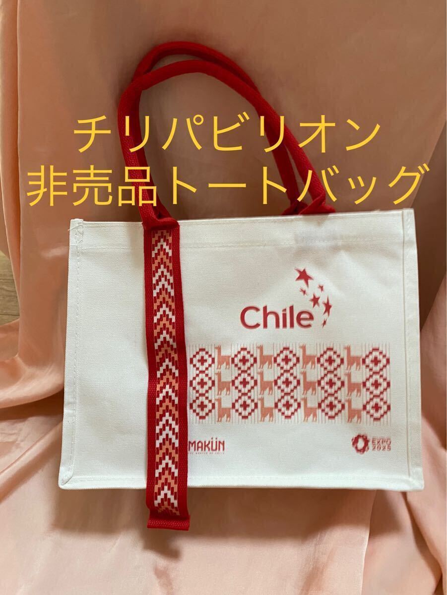 万博　チリ　パビリオン　トートバッグ　手提げ　非売品　希少品　レア　記念品　デニム　トート　南米　土産