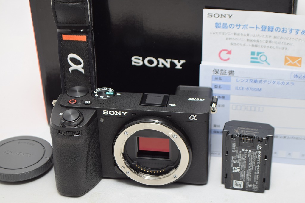 美品★SONY ソニー α6700 ボディ ブラック ILCE-6700★元箱付・ショット数約20000回