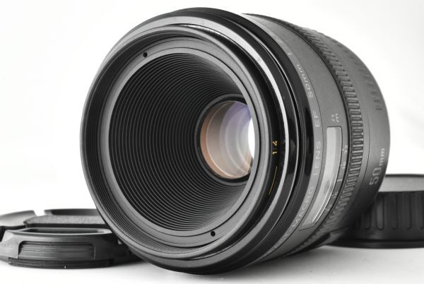 【美品】Canon Compact-Macro EF 50mm f/2.5 AF Lens キャノン レンズ (EF-TN-JP1565)
