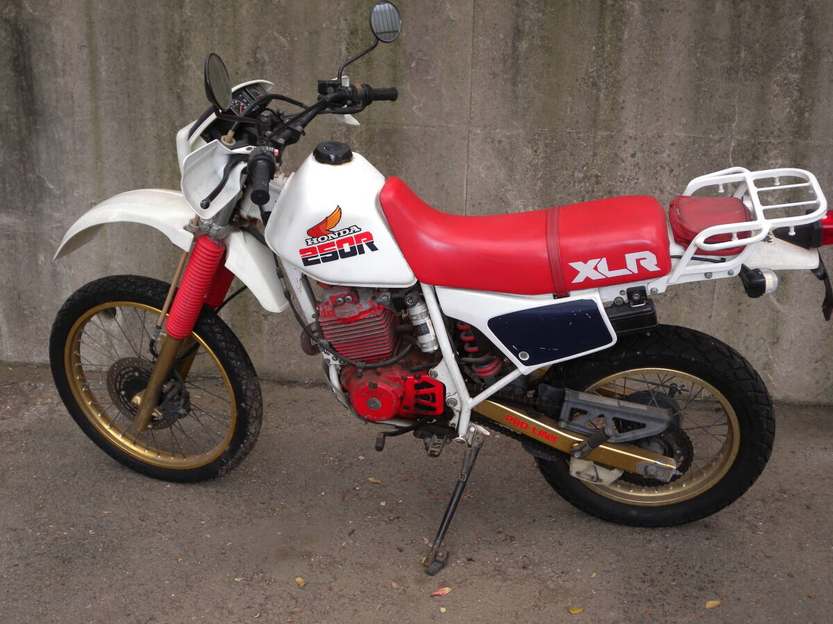 HONDA ホンダ XLR250R MD16 赤/白　Red/White
