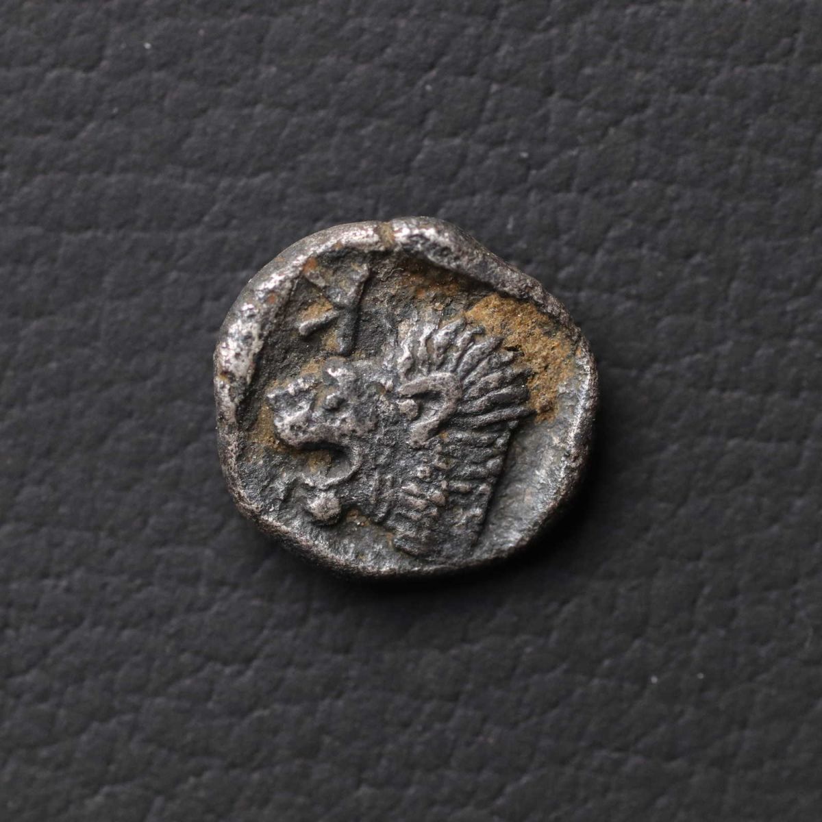 *[令]古代ギリシャ「ライオン・猪・マグロ」小型Hemiobol銀貨（510-475 BC）小アジア ミュシア・キュジコス発行コイン[E6888]7e0