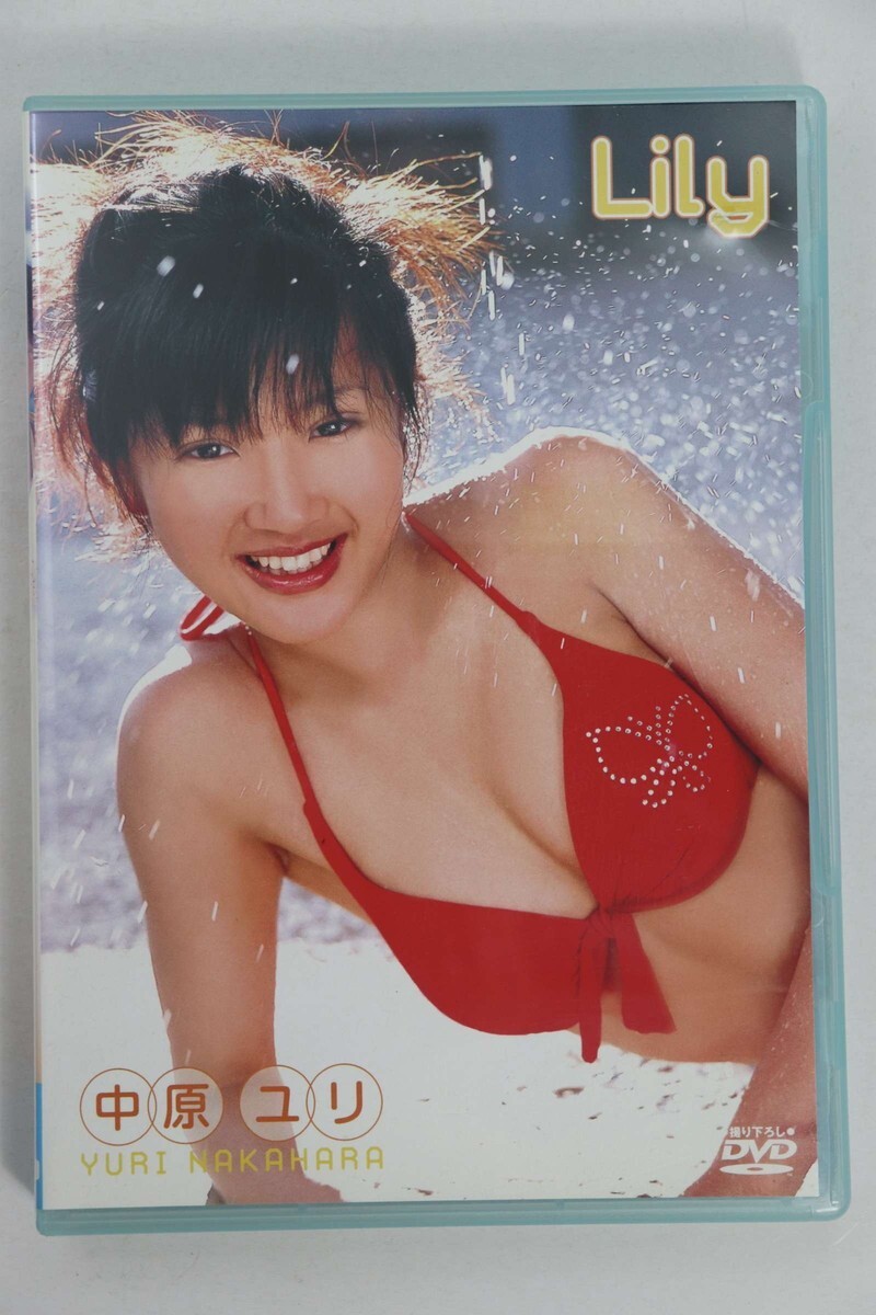 ■ＤＶＤ■Ｌｉｌｙ■中原ゆり■中古■