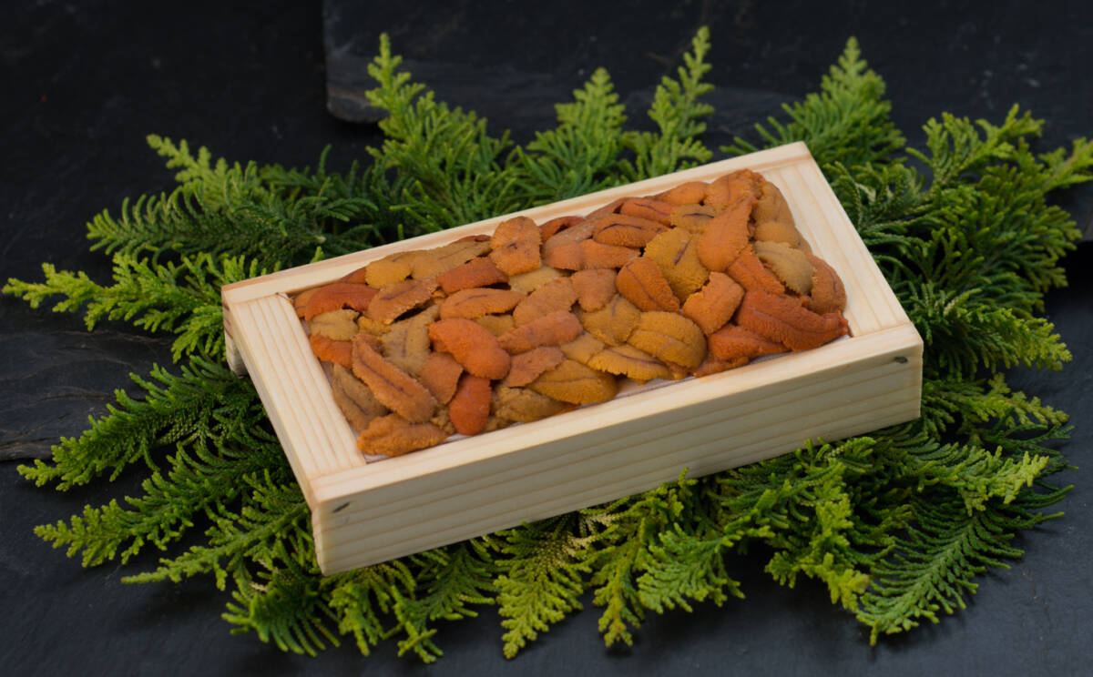 【２０２６セール！】釧路加工　生うに　折詰め（バラ盛）　１００ｇ　（北方四島ロシア産）