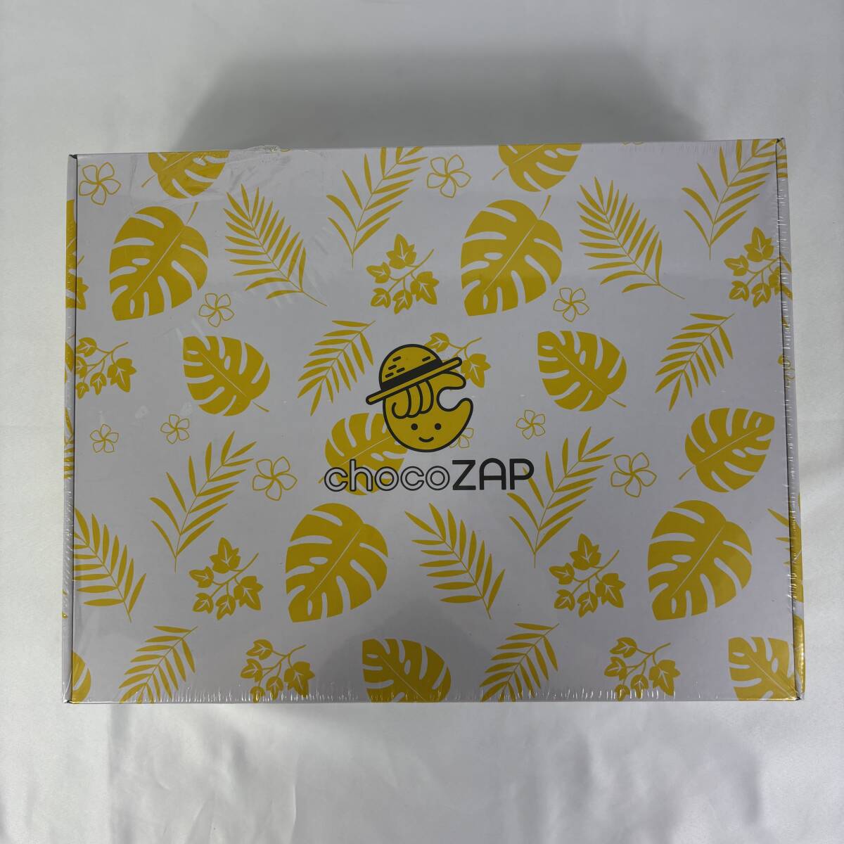 新品　未開封　chocoZAP　チョコザップ　夏キット　ブランケット　ハンディタオル　ハンディファン　外装ビニール破れ有り