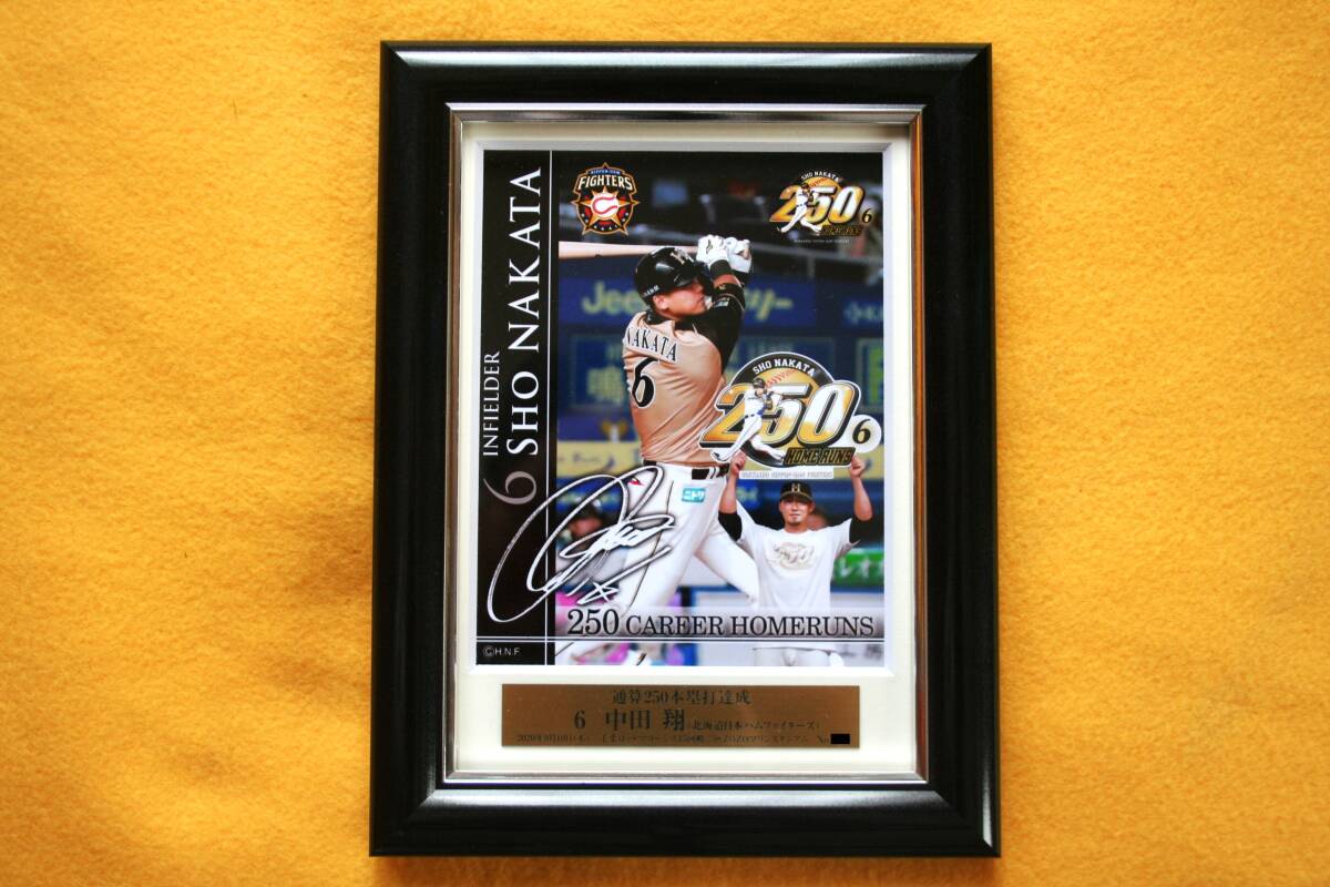 日本ハムファイターズ／中田翔／250本塁打／記念フレーム／シリアルナンバー
