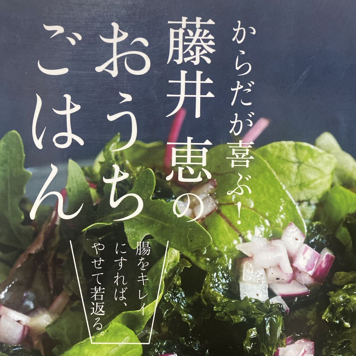 からだが喜ぶ！藤井恵のおうちごはん　腸をキレイにすれば、やせて若返る。 藤井恵／〔著〕