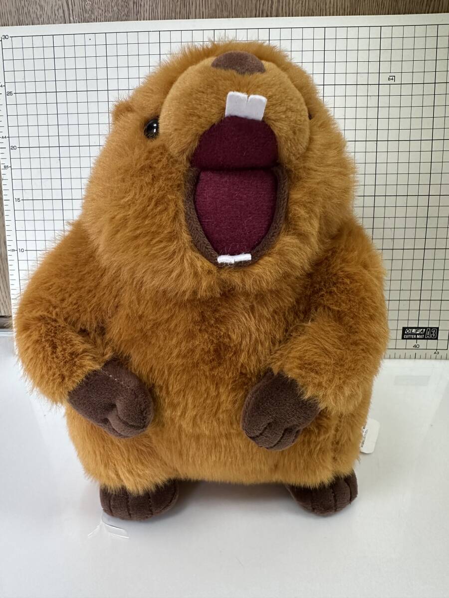 けたたましい 雄叫び！ マーモット 音声 ぬいぐるみ 叫ぶ さけぶ　マスコット タグ付き　動物　リアル