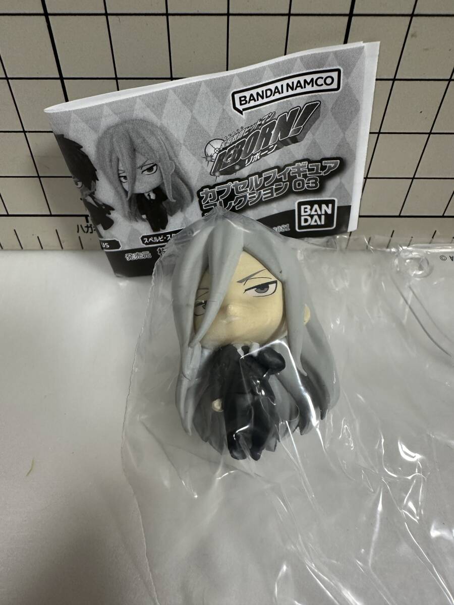 家庭教師ヒットマンREBORN! カプセルフィギュアコレクション03 スペルビ・スクアーロ　リボーン