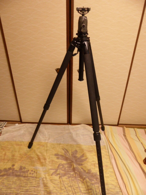 大型カーボン三脚 GEO N830 自由雲台付 美品