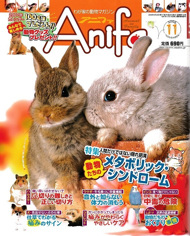 【アニファ】2006年11月号/隠れ肥満、動物たちのメタボリックシンドローム/Anifa/小動物/うさぎ/ハムスター/フェレット