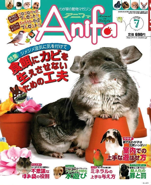 【アニファ】2008年07月号/食餌にカビを生えさせないための工夫/Anifa/小動物/うさぎ/ハムスター/フェレット