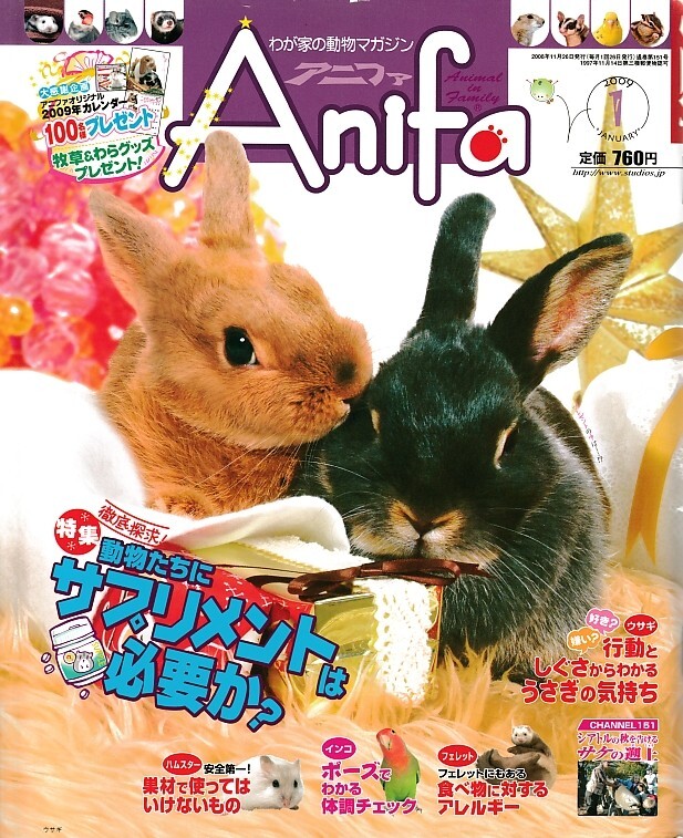 【アニファ】2009年01月号/動物たちにサプリメントは必要か/Anifa/小動物/うさぎ/ハムスター/フェレット