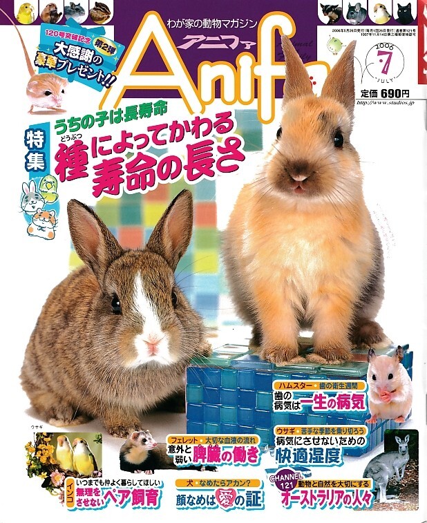 【アニファ】2006年07月号/うちの子は長寿命、種によって変わる寿命の長さ/Anifa/小動物/うさぎ/ハムスター/フェレット