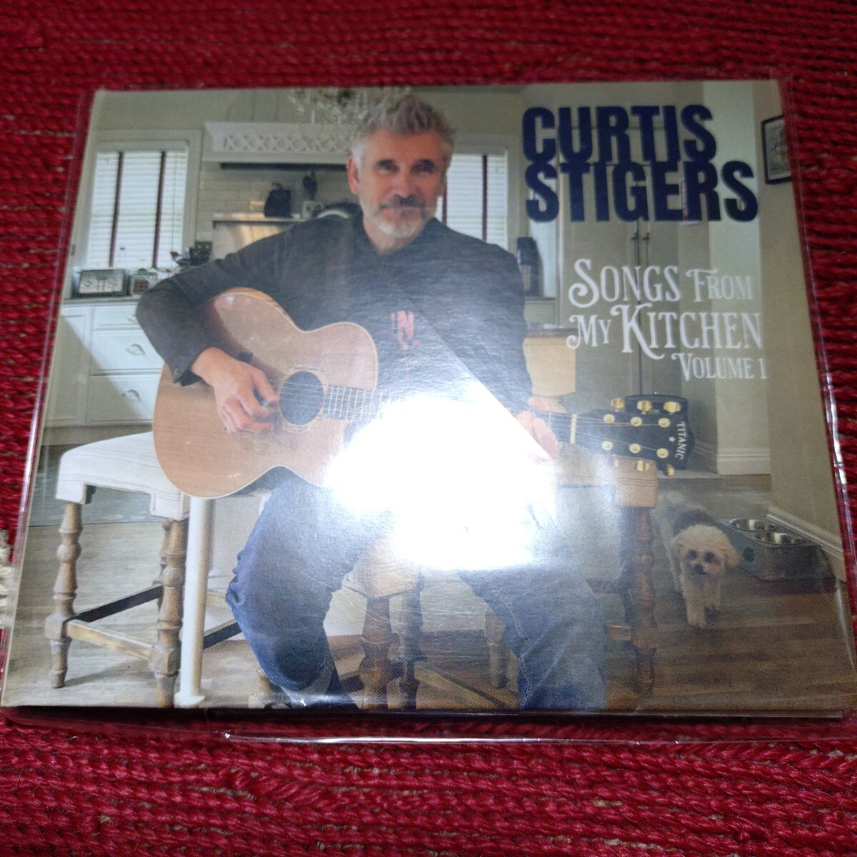 Curtis Stigers★カーティス・スタイガース☆SONG　FROM　MY　KITCHEN輸入盤アルバム