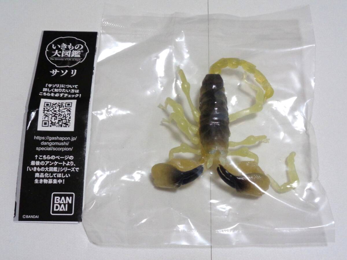 イスラエルゴールデンスコーピオン サソリ いきもの大図鑑 バンダイ BANDAI ガチャ ガシャポン 蠍 ミニフィギュア