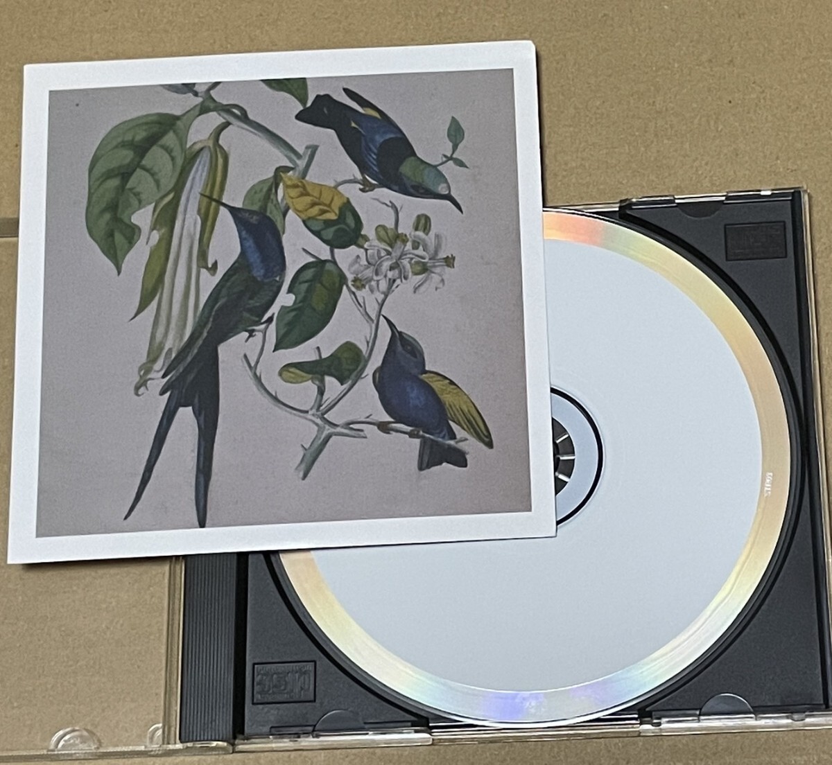 送料込 Susumu Yokota - Sakura CD / ススム・ヨコタ / STR03