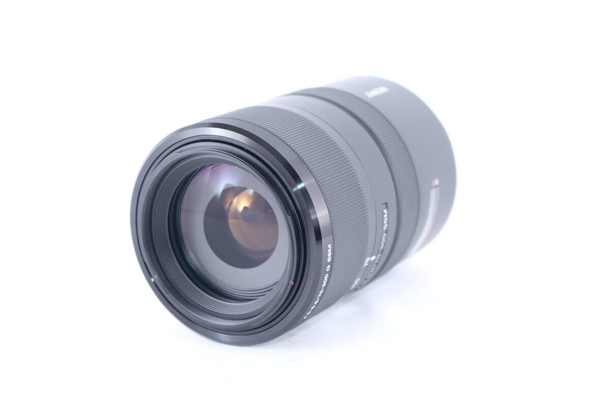 ★超極上★ソニー SONY 70-300mm F4.5-5.6 G SSM ★完動★#P785