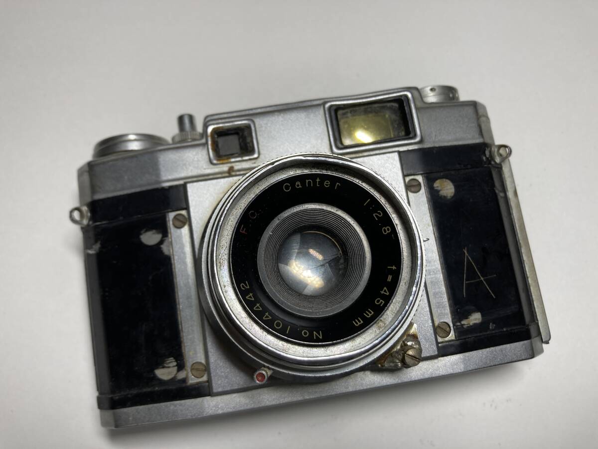 24189) CANTER BEAUTY