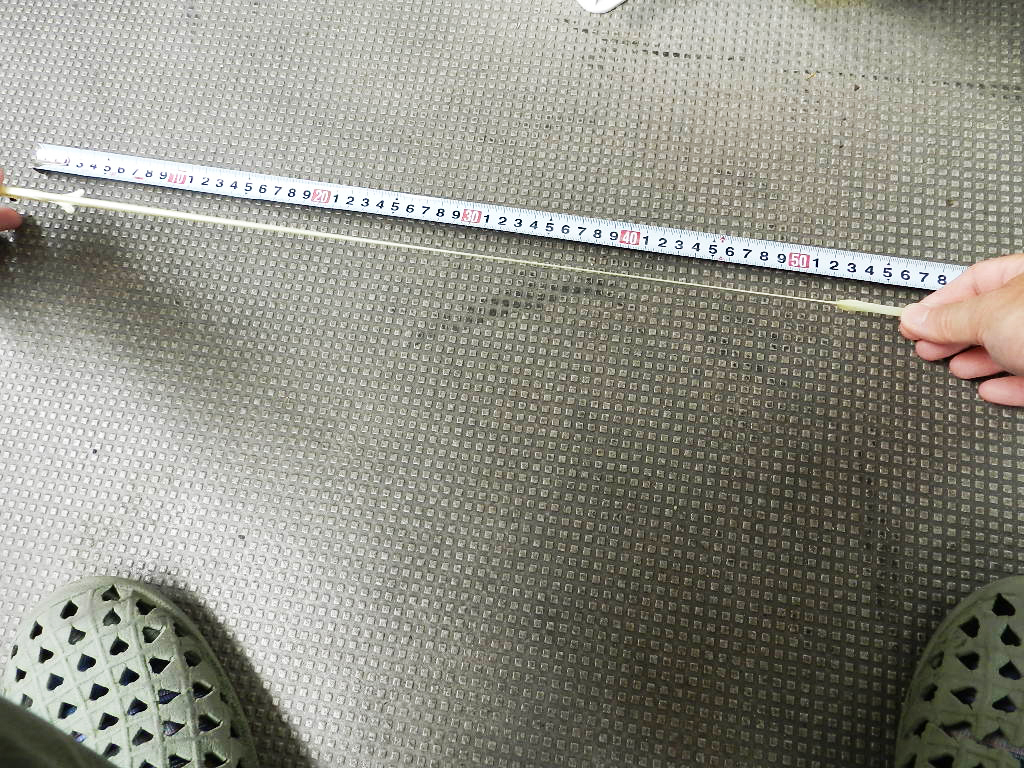 ★メチャクチャ伸びる素材★Baity バイティ 101mm×3本入×2、75mm×1、夜光色、タイラバ、コチ、ヒラメ、フグ対策☆クリックポスト185円☆