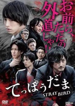再生確認済レンタル落ち DVD「てっぽうだま STRAY BIRD」送料 140/185/190/210/230 円