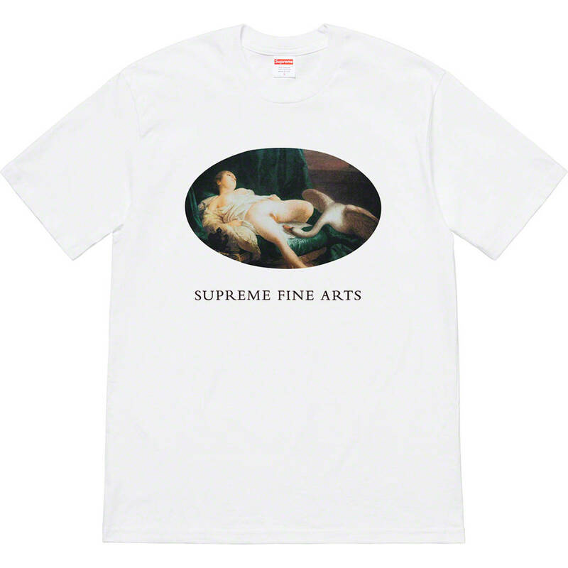 Supreme Leda And The Swan Tee シュプリーム Tシャツ