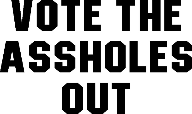 VOTE THE ASSHOLES OUT ステッカー　デカール　ハイグレード耐候６年 40色 patagonia パタゴニア CTS010